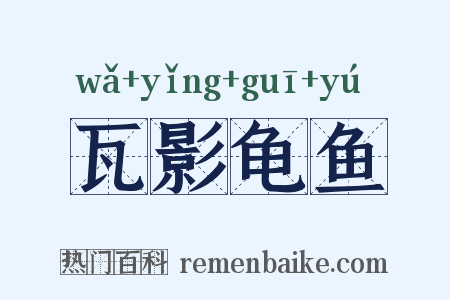 瓦影龟鱼是什么意思的图片